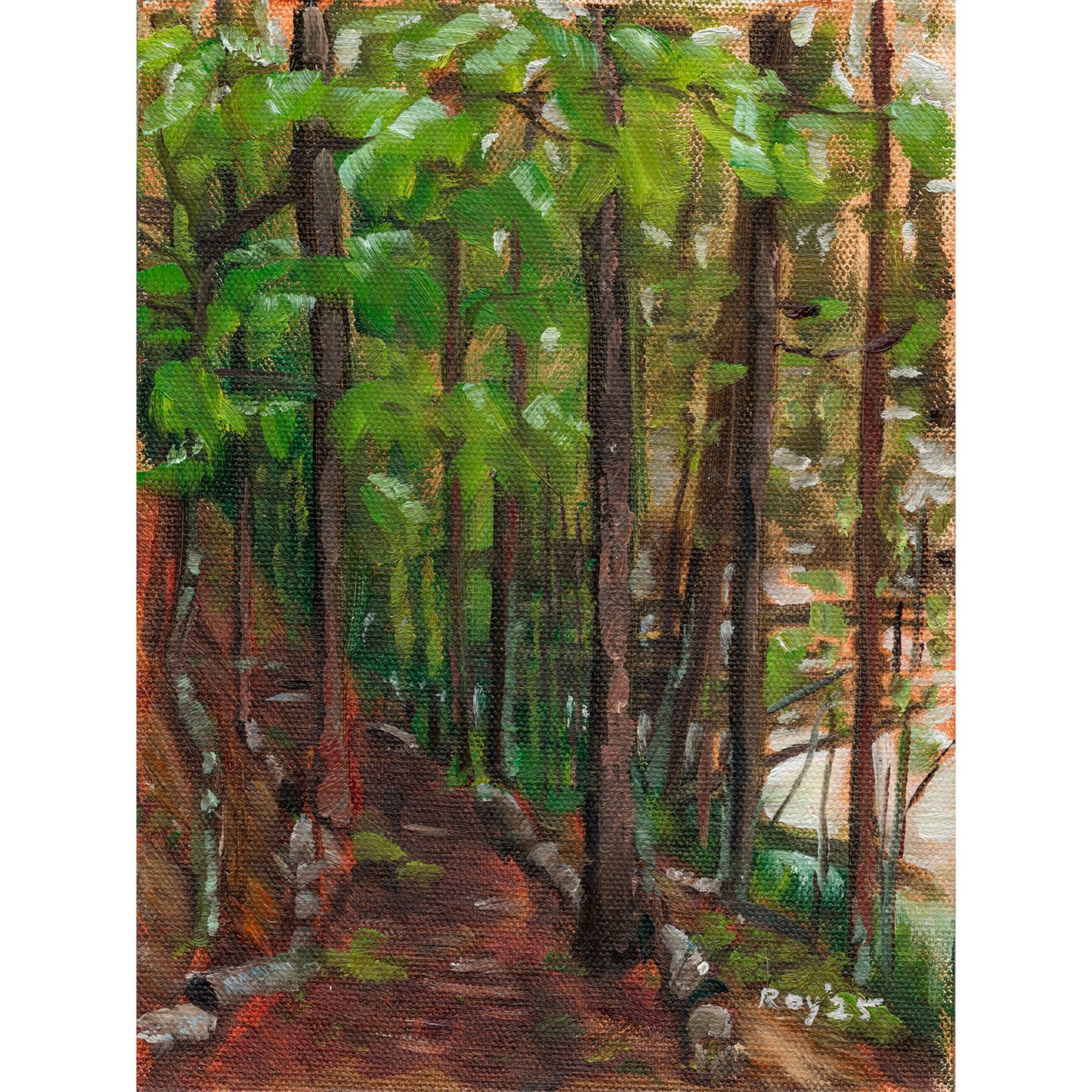 Path Along the Lake