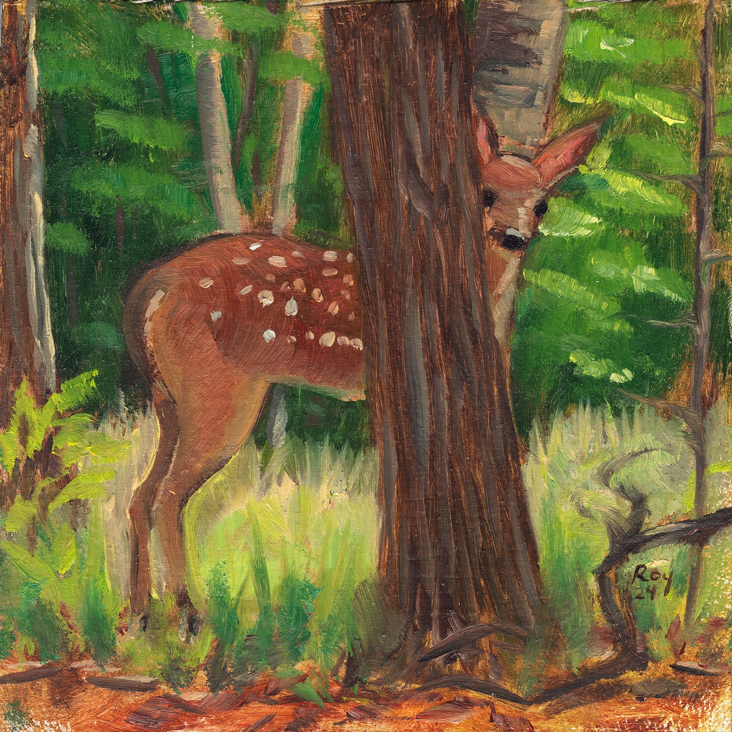 Fawn