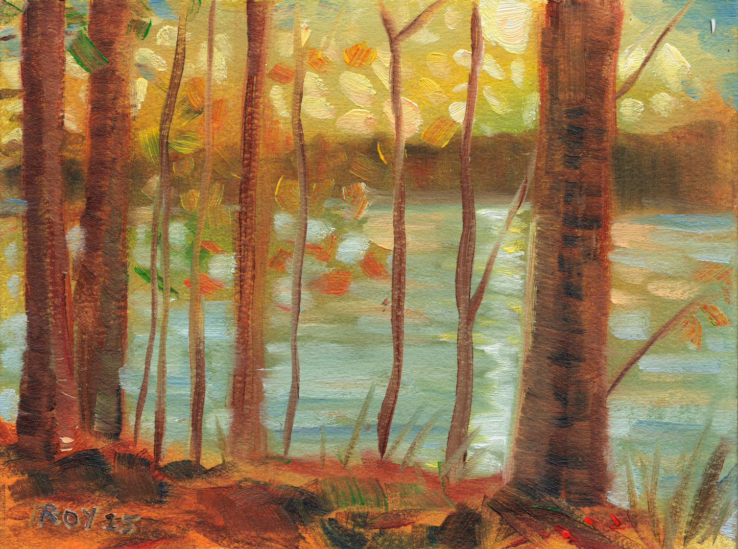 Forest Sunset Through Trees