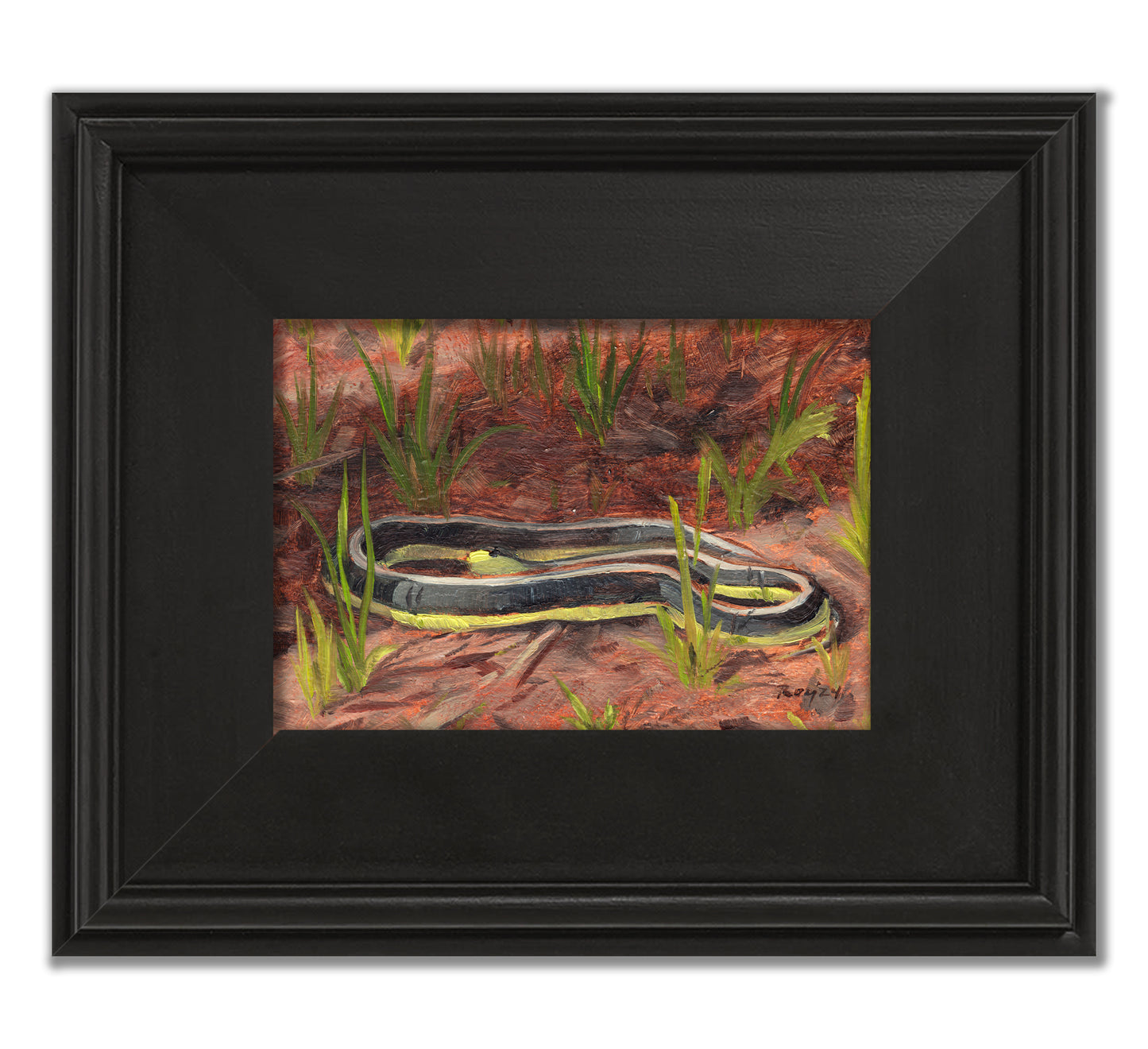 Garter Snake at Sunrise