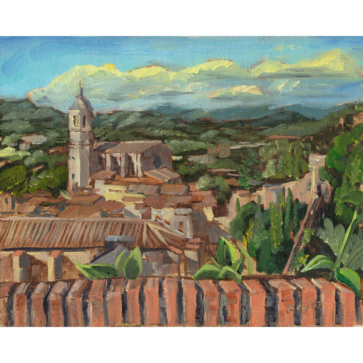 Girona from the Torre de Sant Domenec