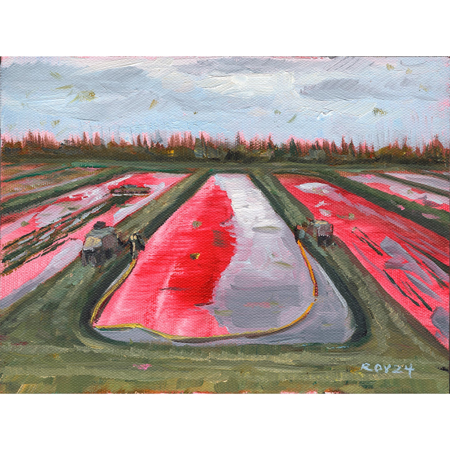 Harvester in the Cranberry Bogs