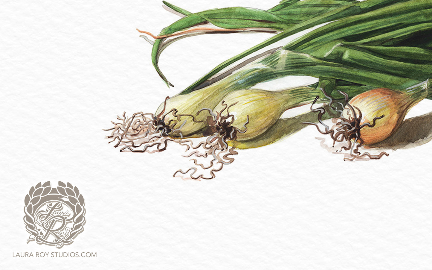Spring Onions Watercolor | Giclée Print