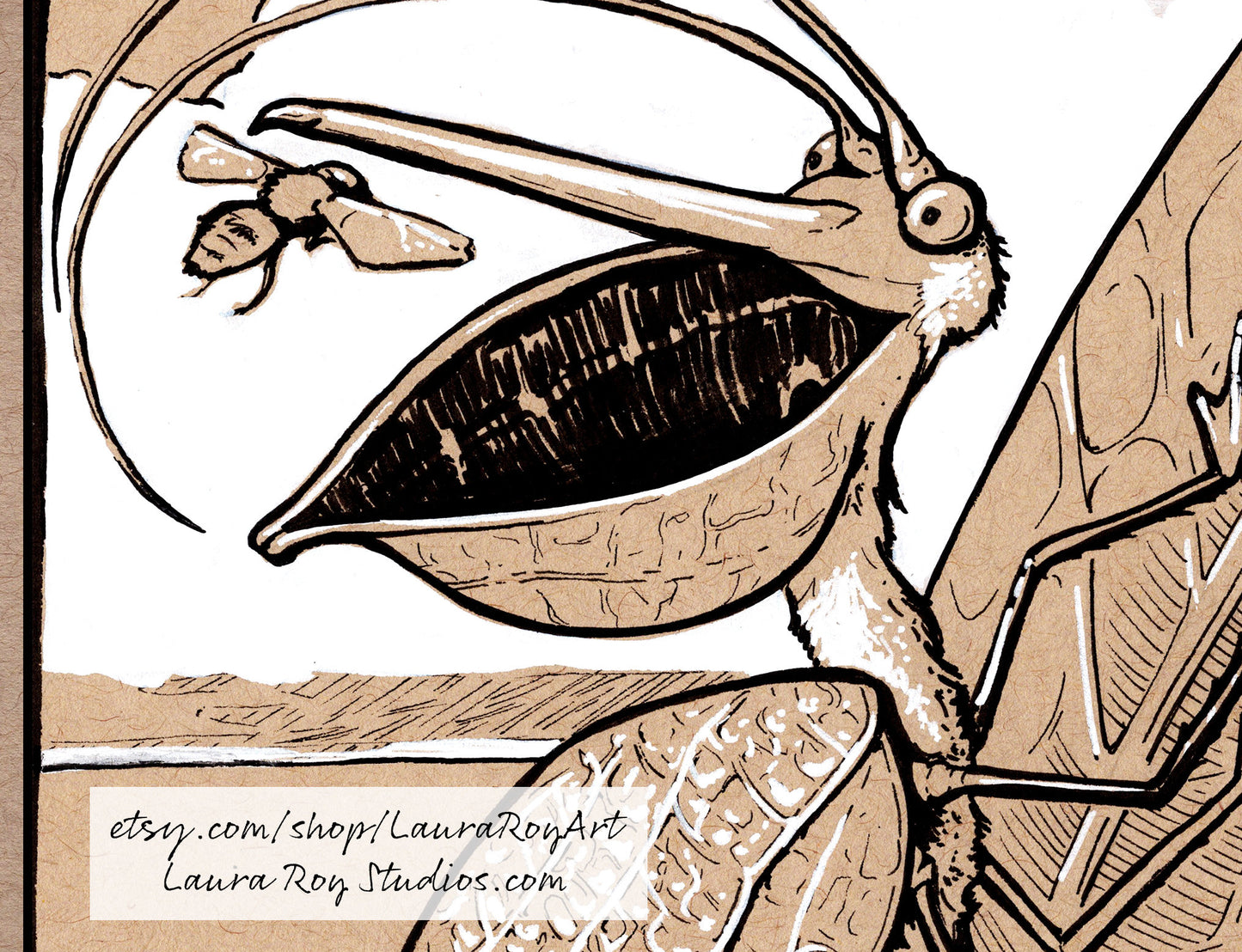 Pelican Katydid Whimsical Pen + Ink Giclée Print