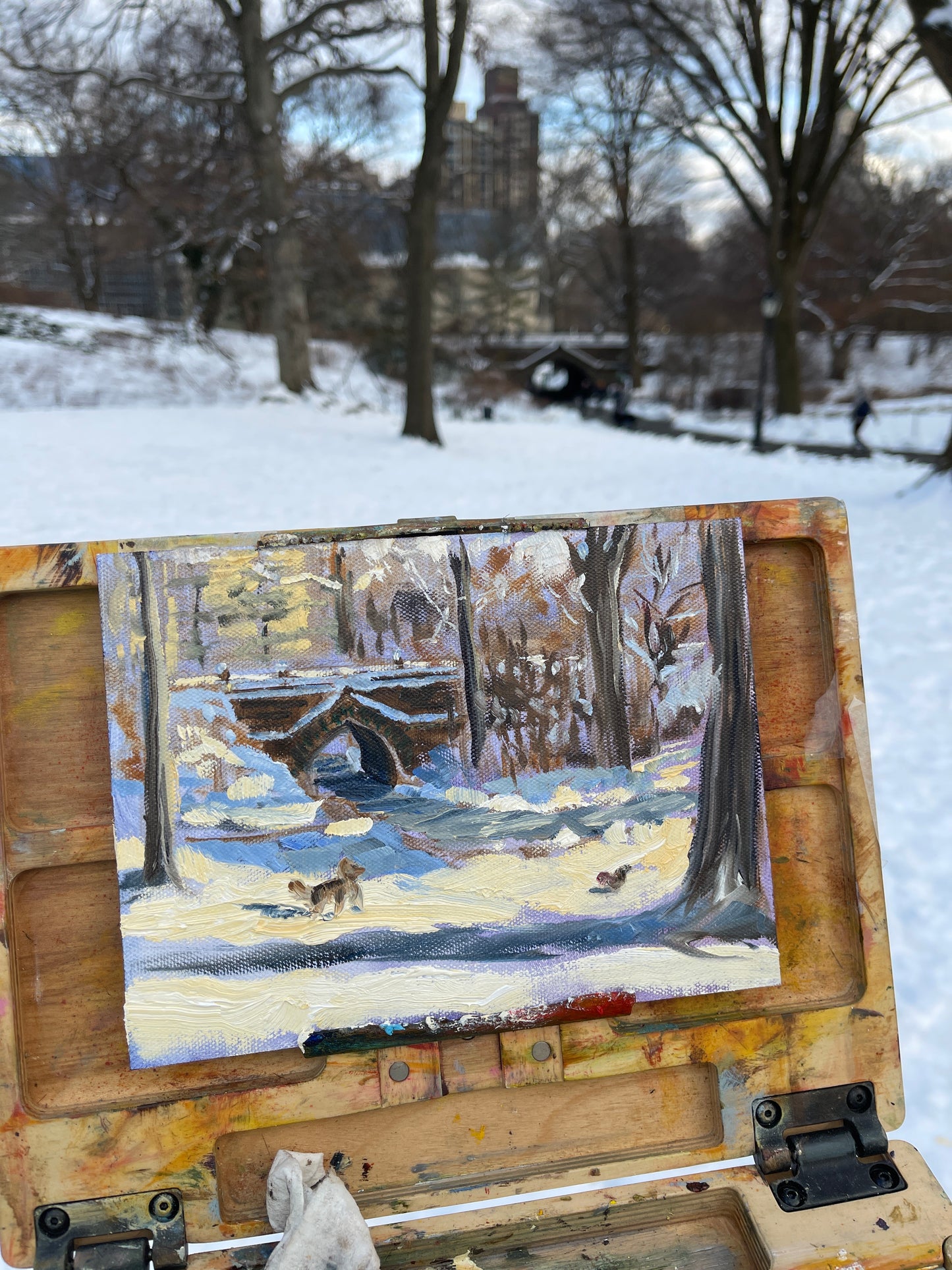 Plein Air Exclusive – Central Park (2-7-25)