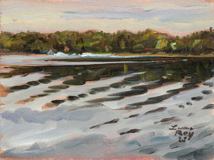 Water Skier on Bass Lake