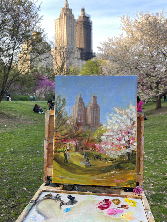 Cherry Blossoms at Central Park