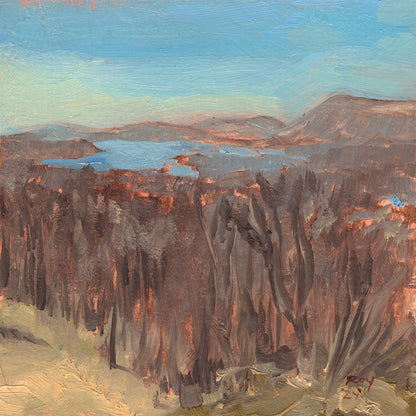 Catskills from Oleana