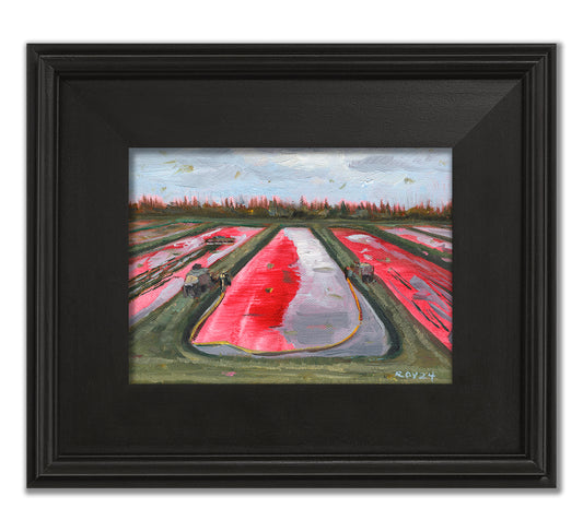 Harvester in the Cranberry Bogs