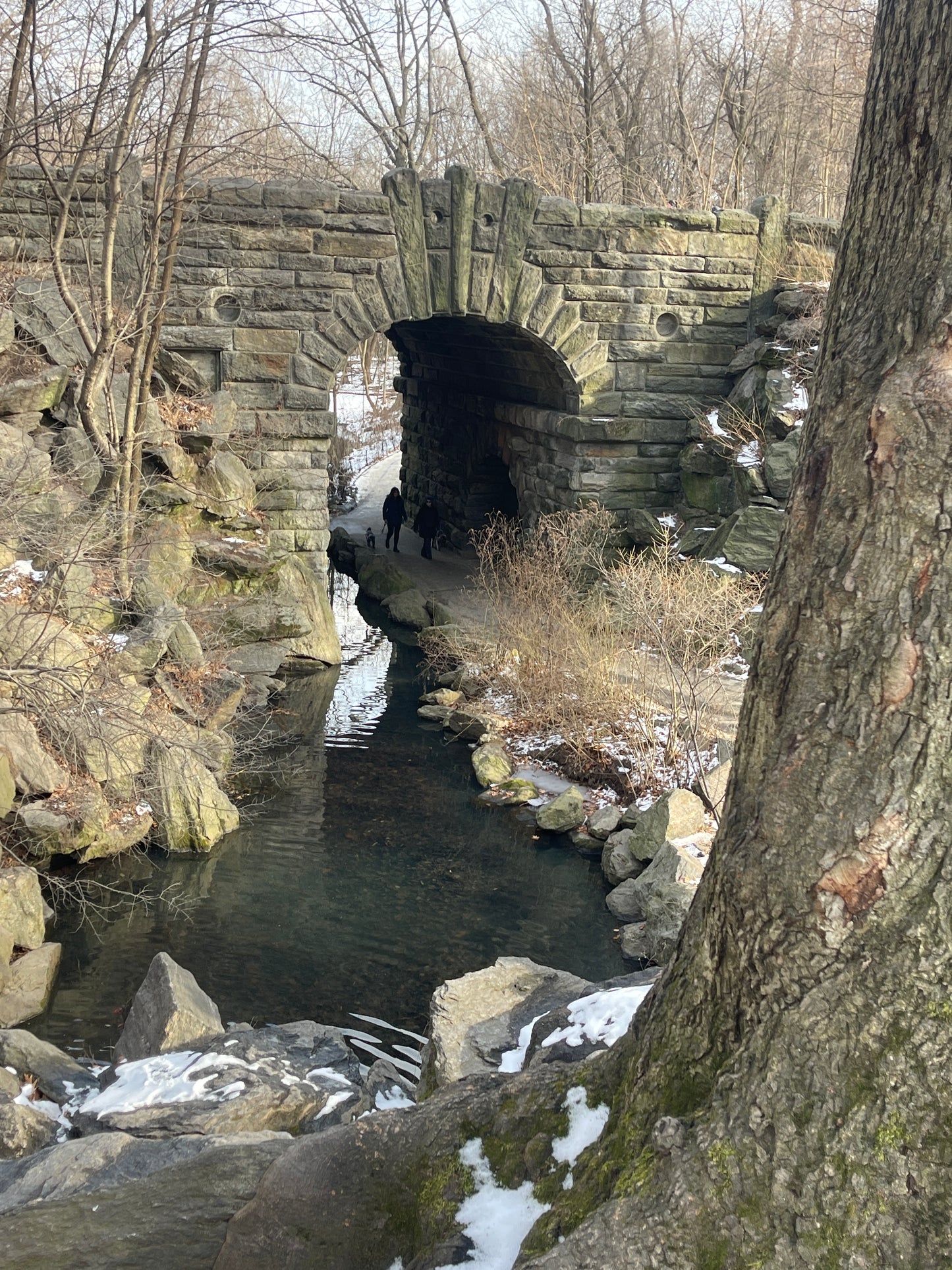 Path to The Pool, Central Park