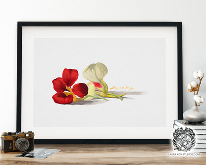 Nasturtiums Watercolor Art Print – Edible Flower Duo Illustration, Colorful Kitchen Wall Decor