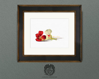 Nasturtiums Watercolor Art Print – Edible Flower Duo Illustration, Colorful Kitchen Wall Decor
