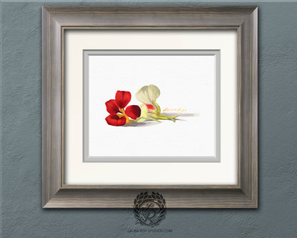 Nasturtiums Watercolor Art Print – Edible Flower Duo Illustration, Colorful Kitchen Wall Decor