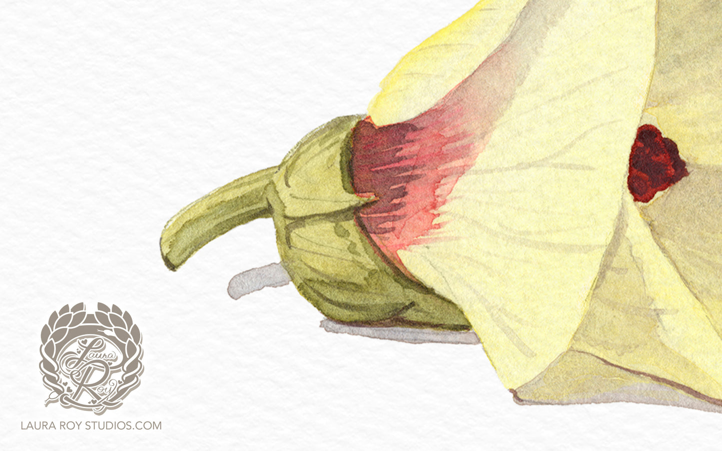 Okra Flower Watercolor Art Print – Delicate Botanical Illustration, Southern Kitchen Decor