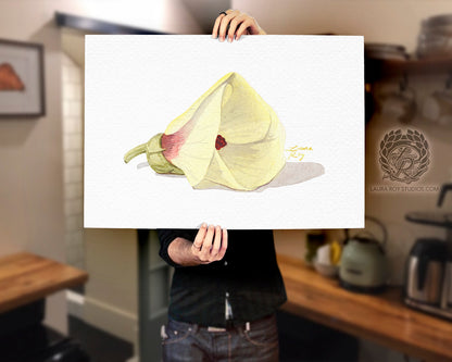 Okra Flower Watercolor Art Print – Delicate Botanical Illustration, Southern Kitchen Decor