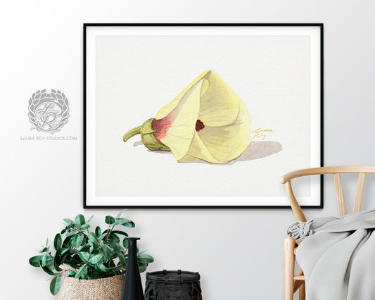 Okra Flower Watercolor Art Print – Delicate Botanical Illustration, Southern Kitchen Decor