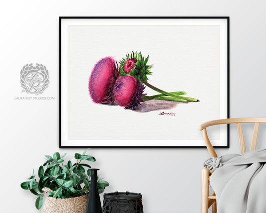 Thistle Flower Watercolor Art Print – Botanical Wildflower Trio, Musk Thistle in Bloom