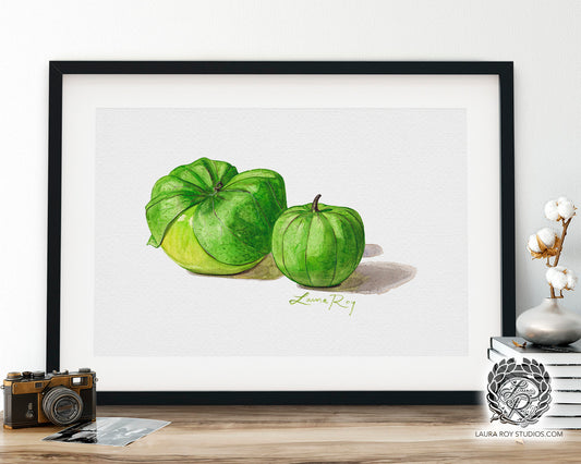 Tomatillo Watercolor Art Print – Botanical Kitchen Decor, Heirloom Garden Vegetables