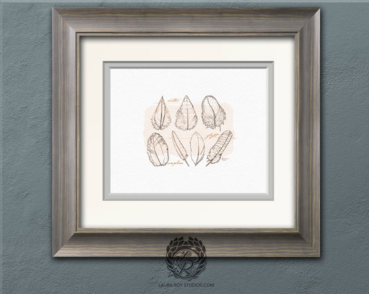 Feather Study Watercolor Ink Giclée Print – Bird Feather Art with Labels
