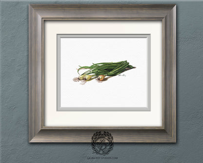 Spring Onions Watercolor | Giclée Print