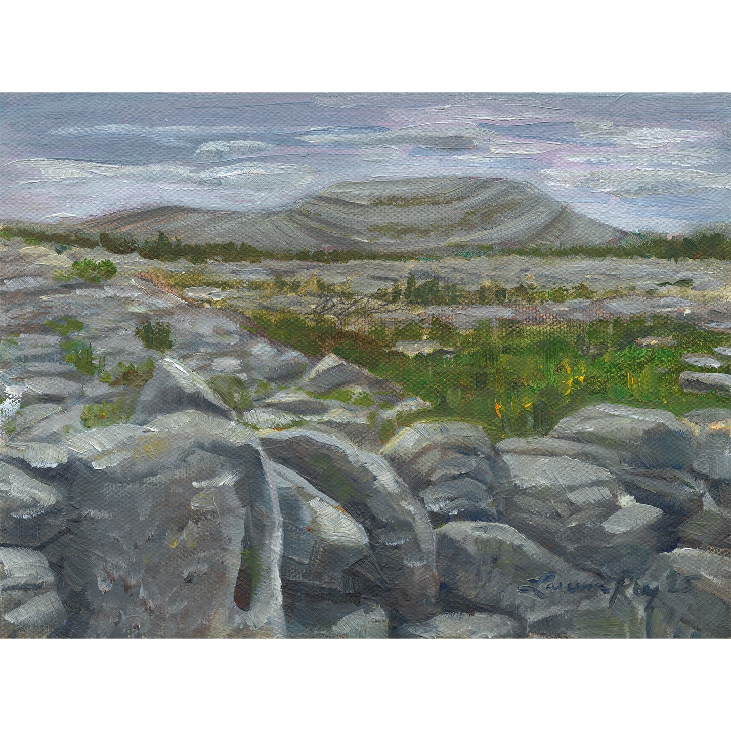 Mt. Mullaghmore in the Burren