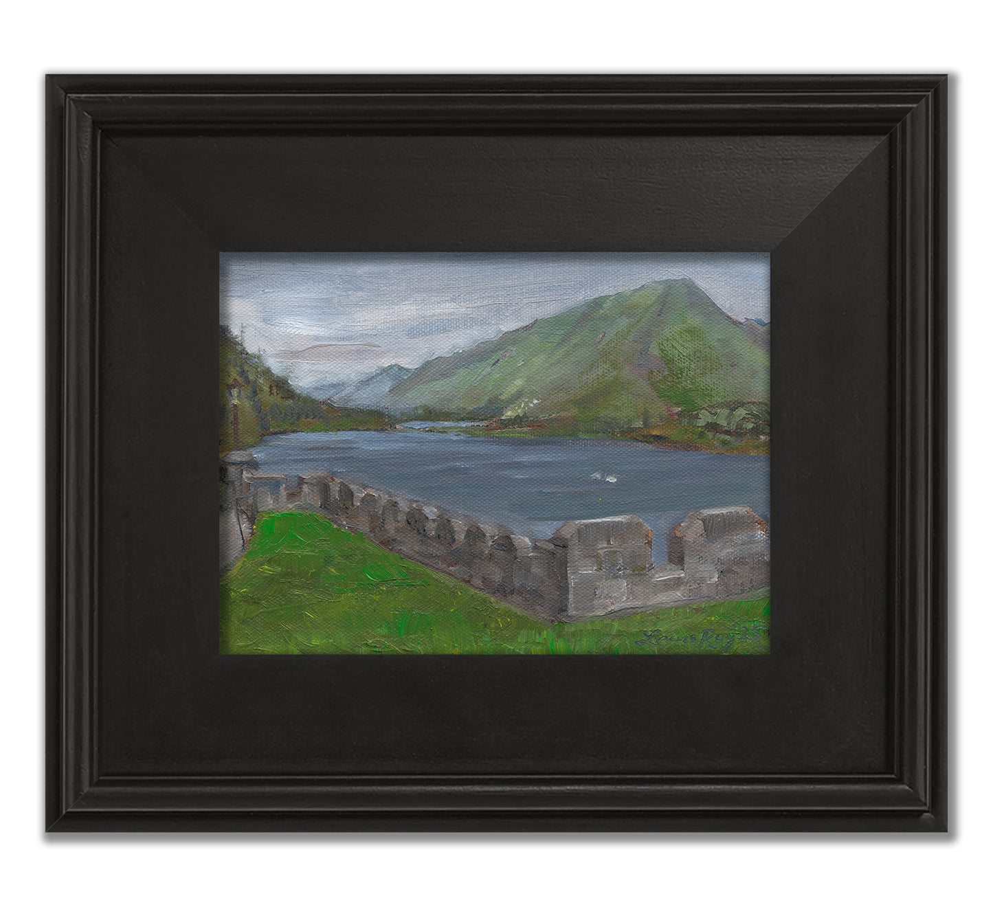 Swans on Pollacapall Lough from Kylemore Abbey