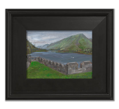 Swans on Pollacapall Lough from Kylemore Abbey