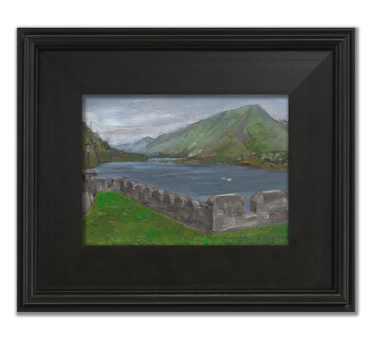 Swans on Pollacapall Lough from Kylemore Abbey