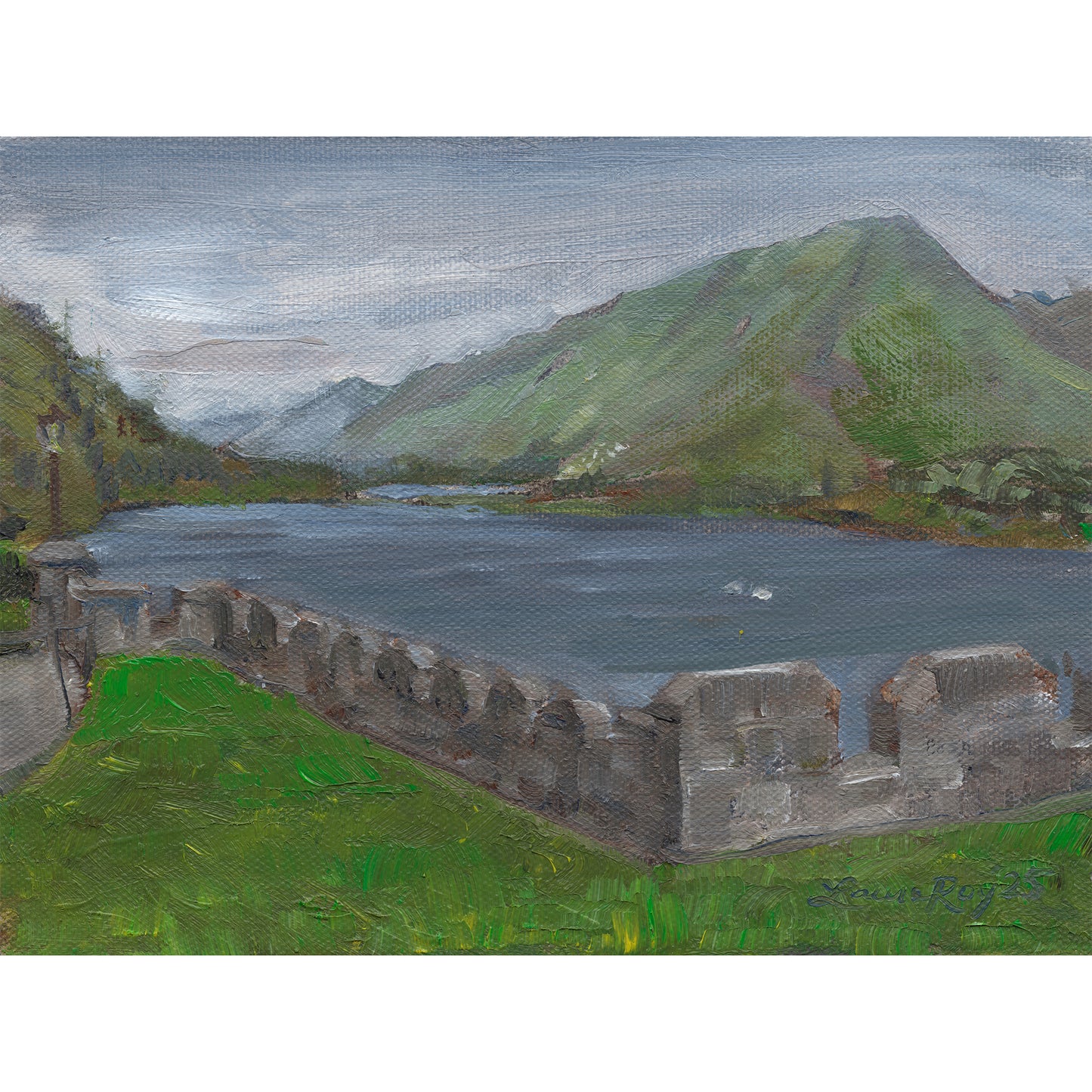 Swans on Pollacapall Lough from Kylemore Abbey