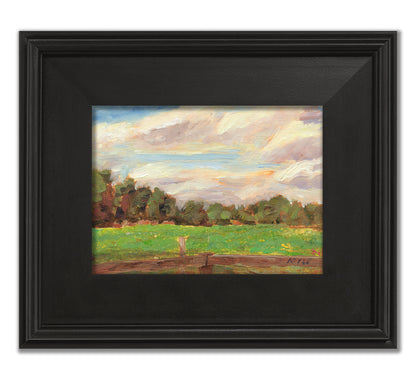 Clare Pasture with Cows - Jetlag