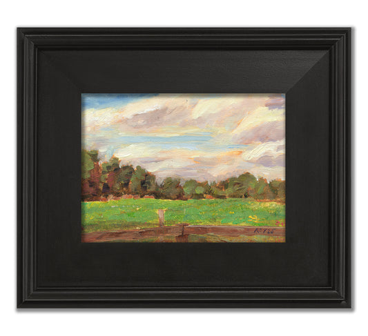 Clare Pasture with Cows - Jetlag