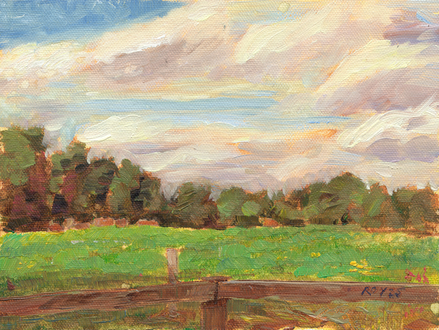 Clare Pasture with Cows - Jetlag