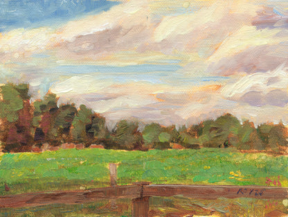 Clare Pasture with Cows - Jetlag