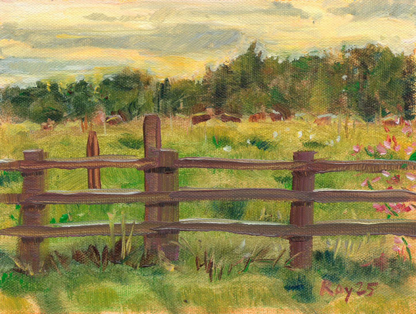 Clare Pasture with Cows