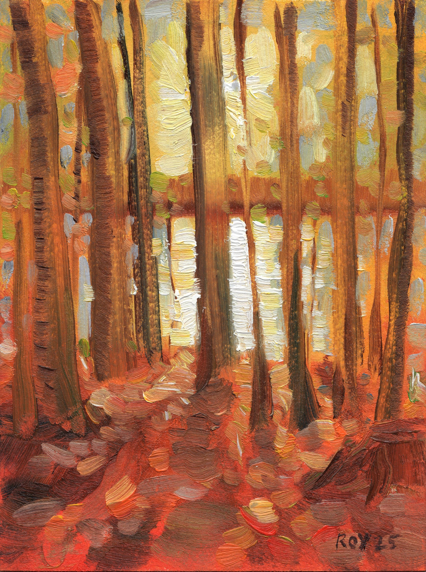 Shining Lake Sunset Through Trees