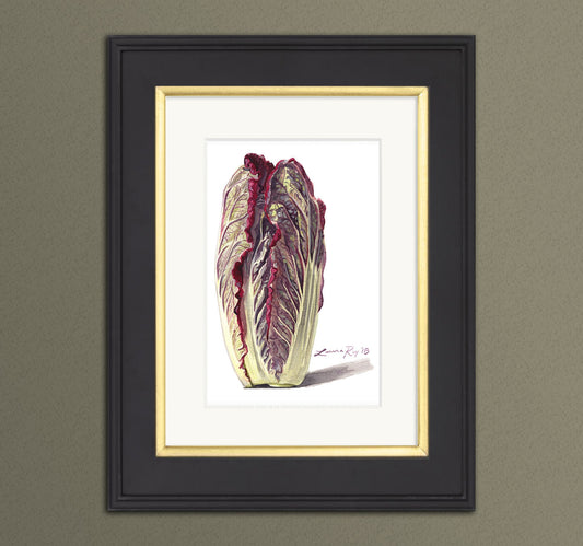 Red Napa Cabbage Watercolor | Giclée Print