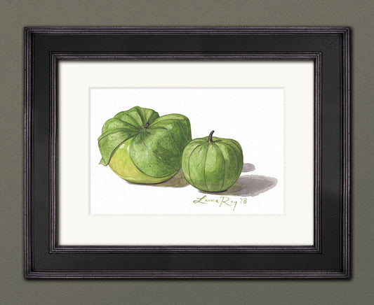 Tomatillos Watercolor | Giclée Print