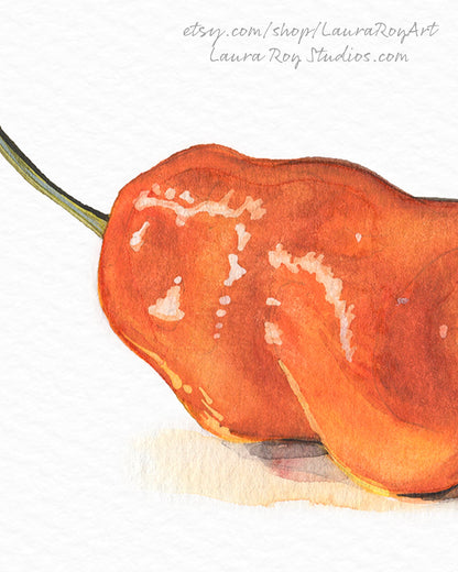 Habanero Watercolor | Giclée Print