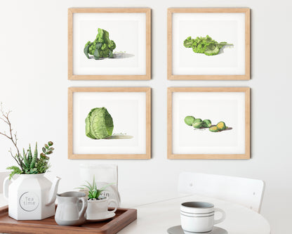 Cabbages (Set of 4) Watercolors | Giclée Prints