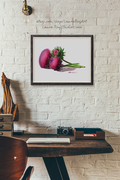 Thistle Watercolor | Giclée Print